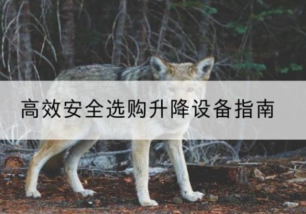 马关升降货梯厂家推荐-*安全选购升降设备指南