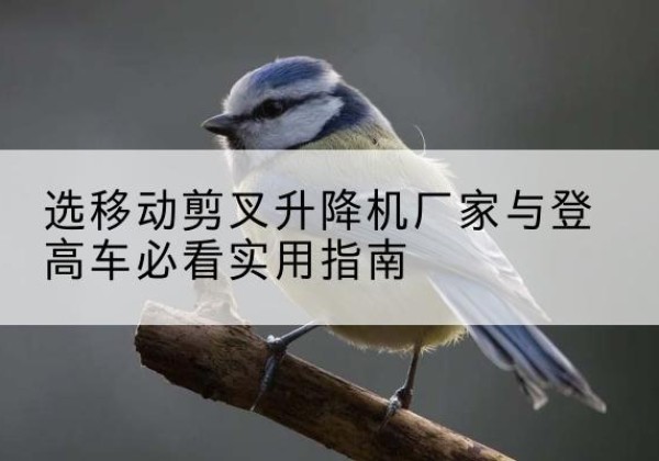 马关电动升降机厂家-选移动剪叉升降机厂家与登高车必看实用指南