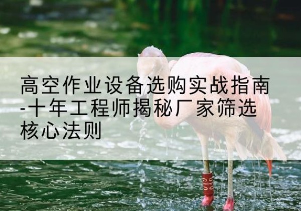 马关剪叉式升降机厂家-高空作业设备选购实战指南-十年工程师揭秘厂家筛选核心法则